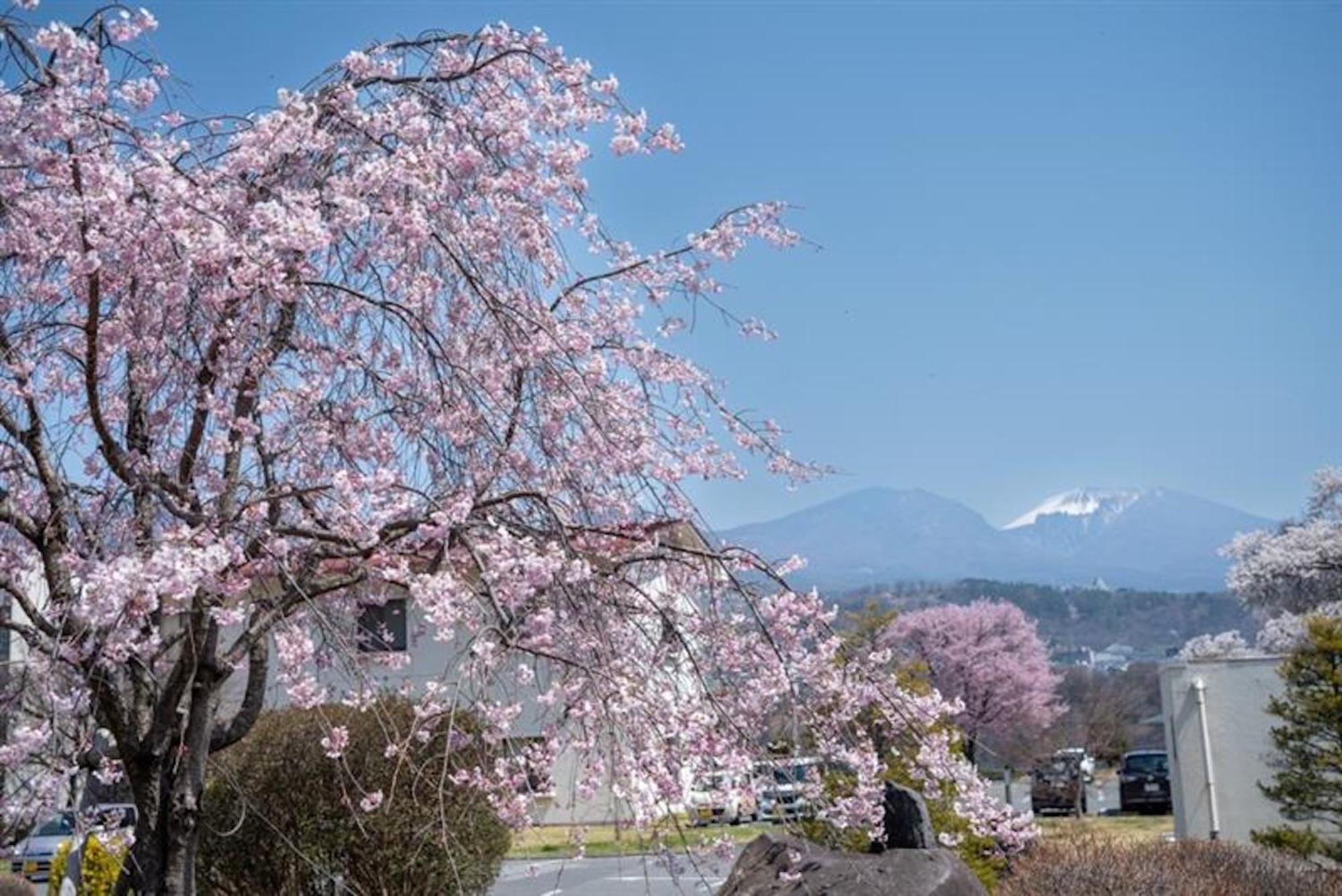 Nunohiki Onsen Komoro Екстериор снимка
