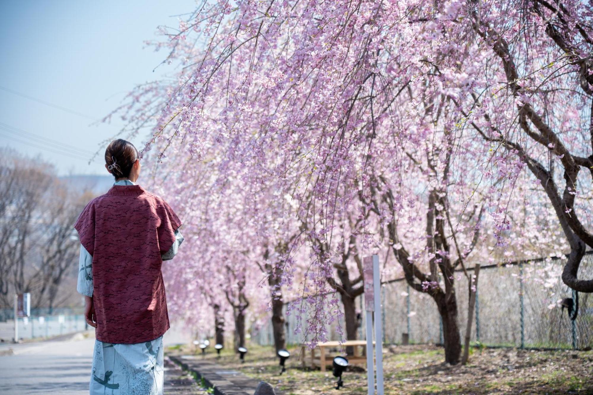Nunohiki Onsen Komoro Екстериор снимка