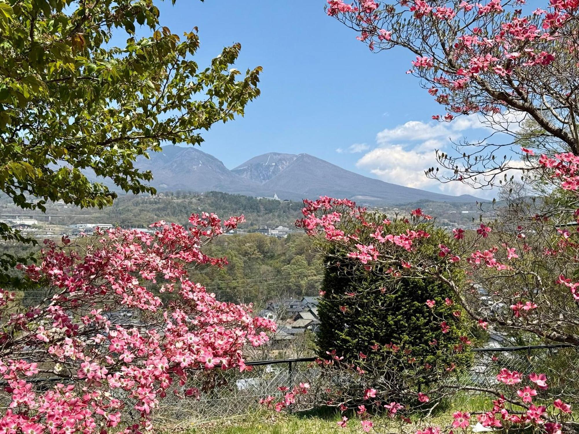 Nunohiki Onsen Komoro Екстериор снимка